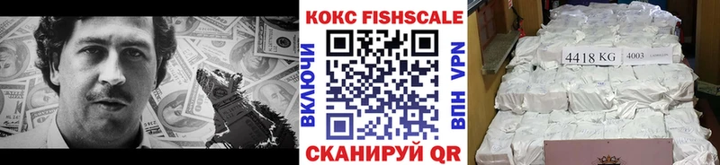 КОКАИН Fish Scale  продажа наркотиков  Железногорск 