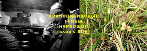 шишки Вязьма