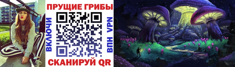 Псилоцибиновые грибы Magic Shrooms  Железногорск 