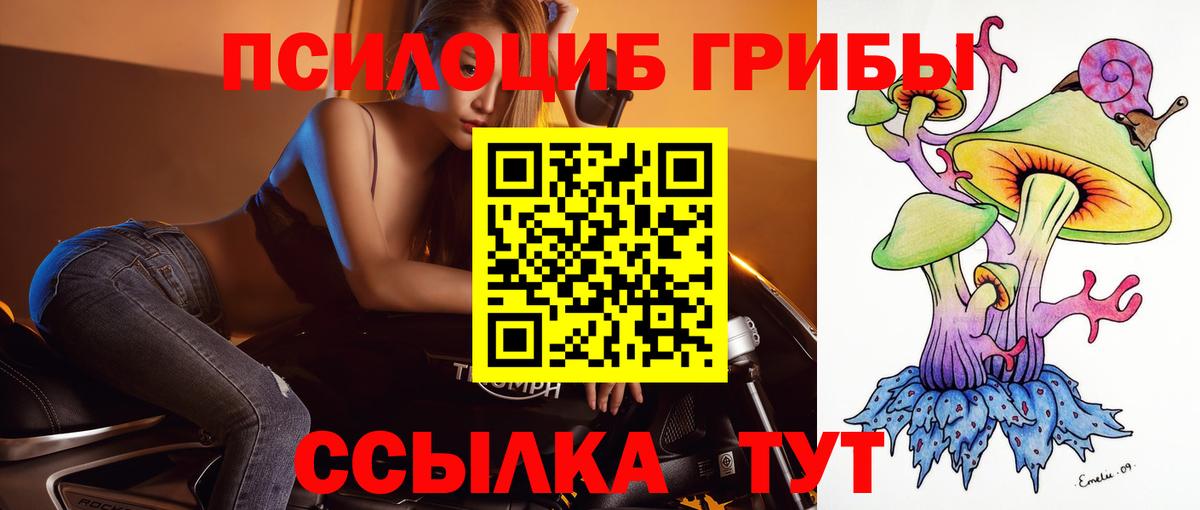 Псилоцибиновые грибы прущие грибы  Вход с VPN  Галлюциногенные грибы GOLDEN TEACHER  Железногорск 